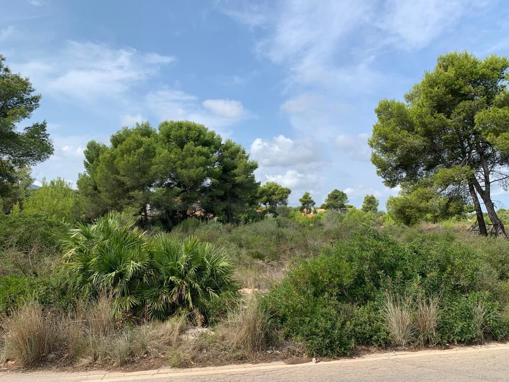 Terrain dans Jávea